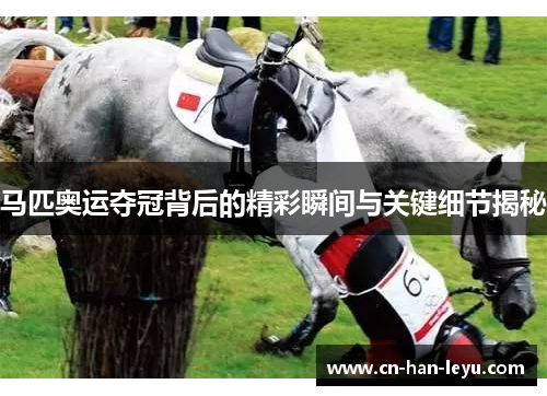 马匹奥运夺冠背后的精彩瞬间与关键细节揭秘