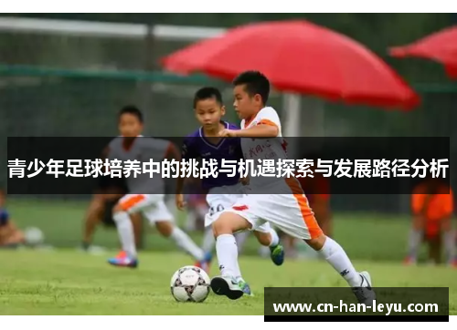 青少年足球培养中的挑战与机遇探索与发展路径分析