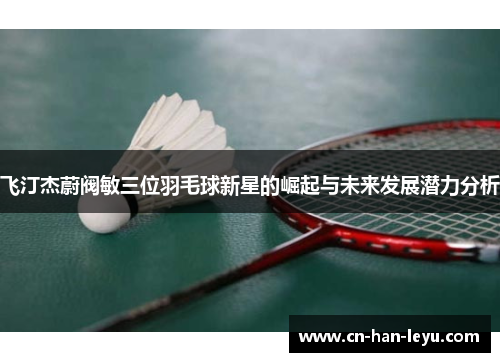 飞汀杰蔚阀敏三位羽毛球新星的崛起与未来发展潜力分析
